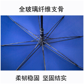 全玻璃纖維支骨