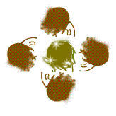 小編也看不懂這是啥（shá）