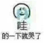 哇的一下就哭了