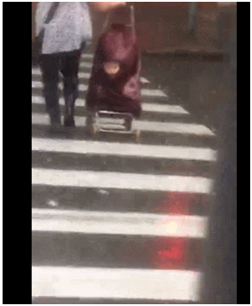 坑（kēng）娃（wá）行列