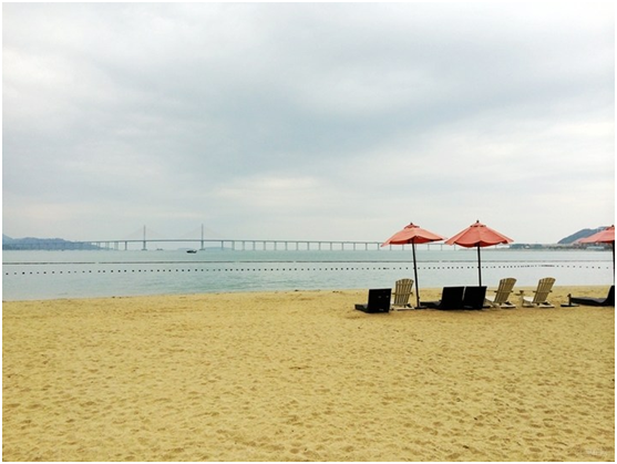 普（pǔ）通遮陽傘