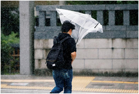 台風下的透明傘