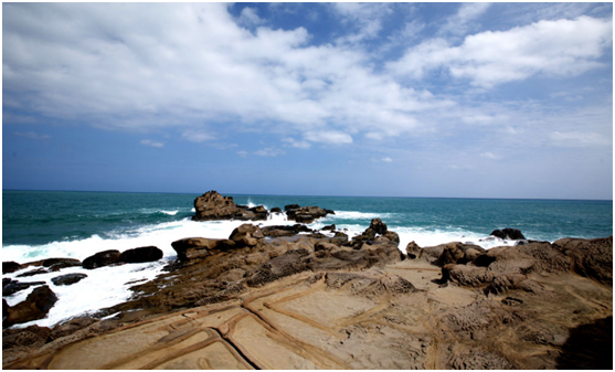 深圳（zhèn）生態