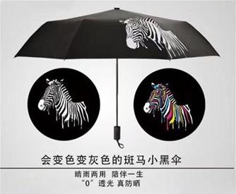 變（biàn）色傘