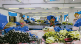 歐（ōu）凱傘廠